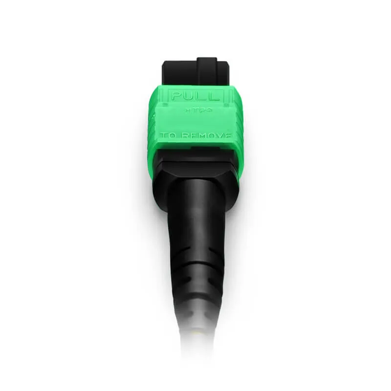Jumper MTP®-1 APC-APC da 16 m, 16 fibre OM4 multimodali, plenum (OFNP), magenta (2)