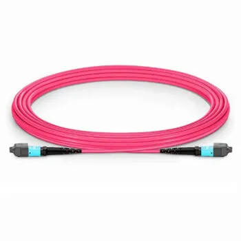 ABPTEL MTP-12 OM4 Magenta Jumper Female to Female UPC 5m Type A